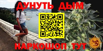 молекула духа Пенза