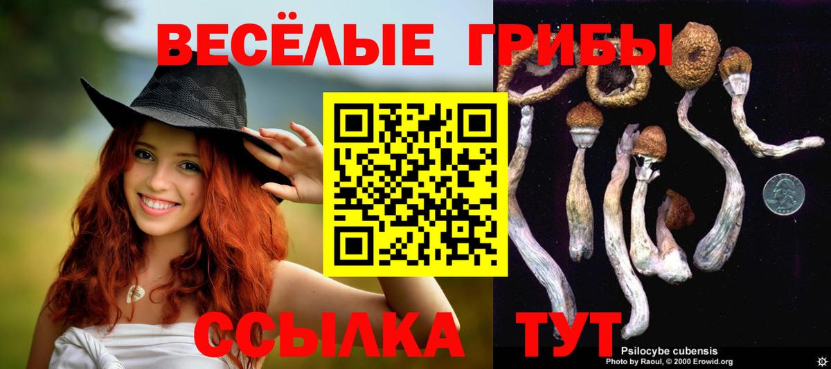 Галлюциногенные грибы Cubensis  Вход с VPN  Нягань 